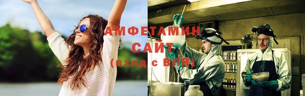 молекула духа Новозыбков