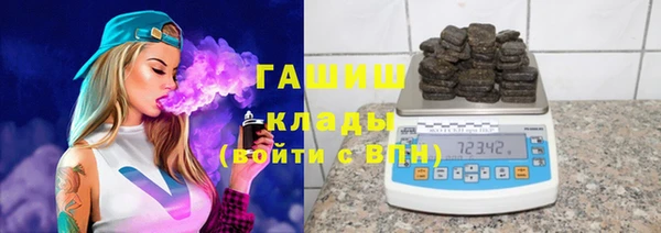 молекула духа Новозыбков