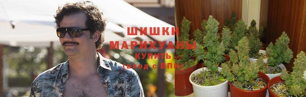 молекула духа Новозыбков
