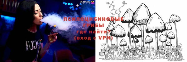 крисы Новодвинск