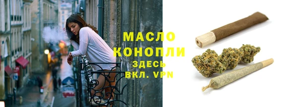 крисы Новодвинск