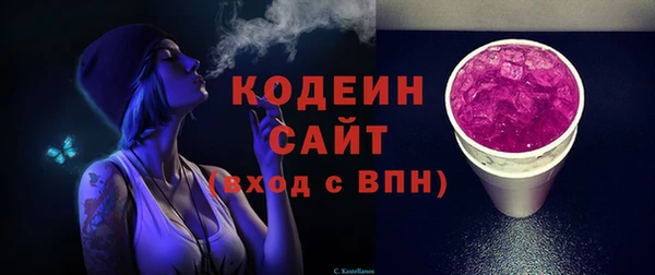 молекула духа Новозыбков