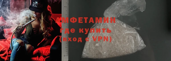 крисы Новодвинск
