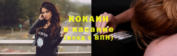 молекула духа Новозыбков