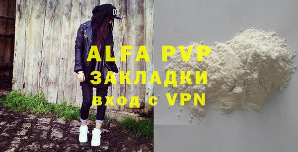 молекула духа Новозыбков
