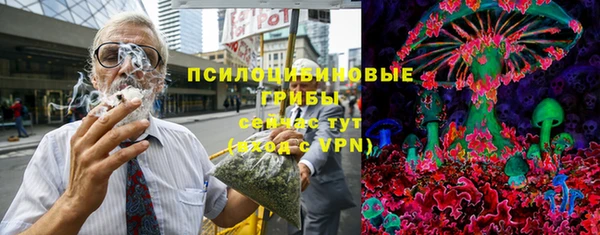крисы Новодвинск
