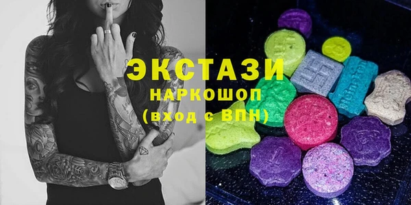 молекула духа Новозыбков