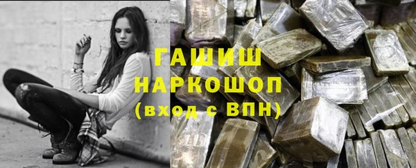 молекула духа Новозыбков