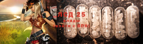 молекула духа Новозыбков