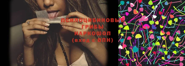 мяу мяу мука Новокубанск