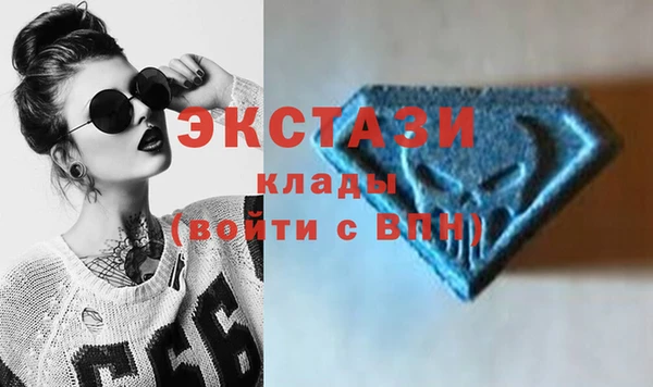 крисы Новодвинск