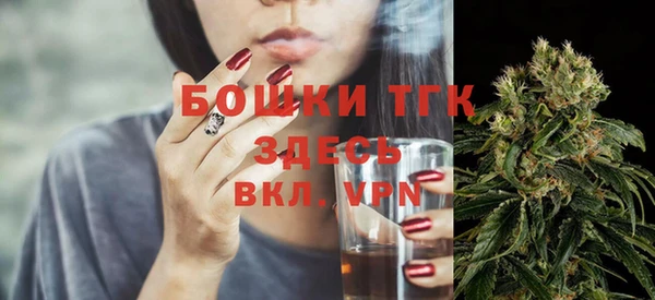 молекула духа Новозыбков