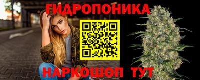 мдпв Беслан