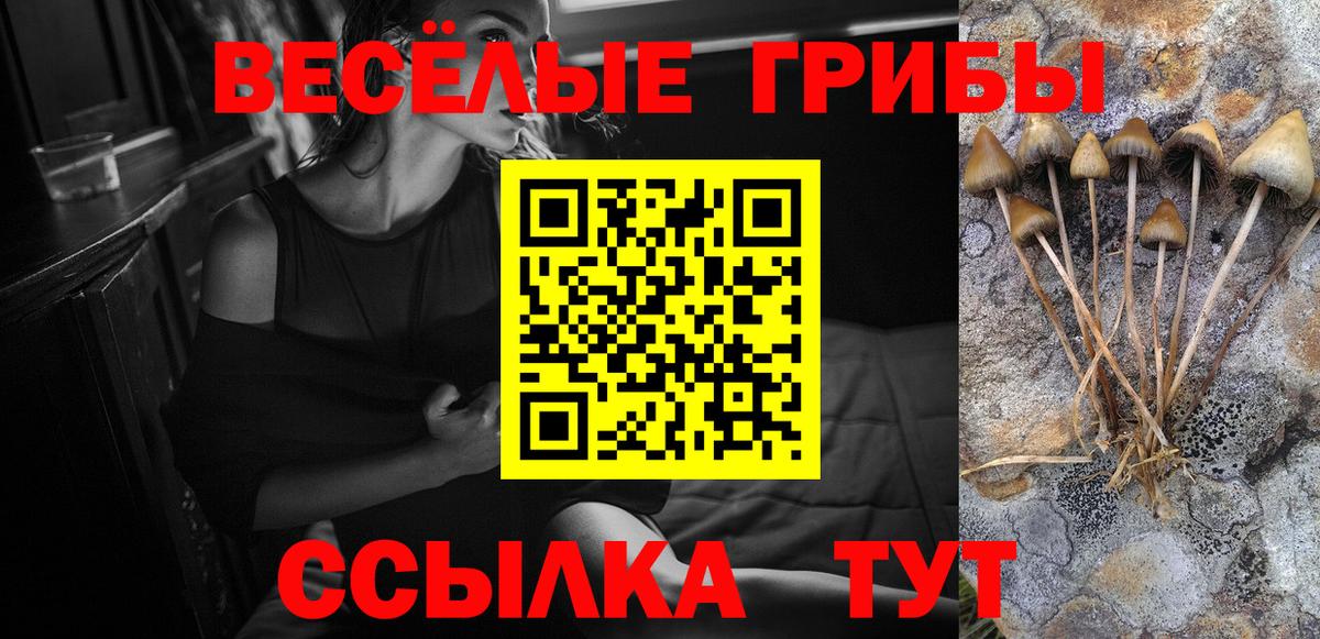 Псилоцибиновые грибы Psilocybine cubensis  купить   Балабаново  Галлюциногенные грибы Magic Shrooms 