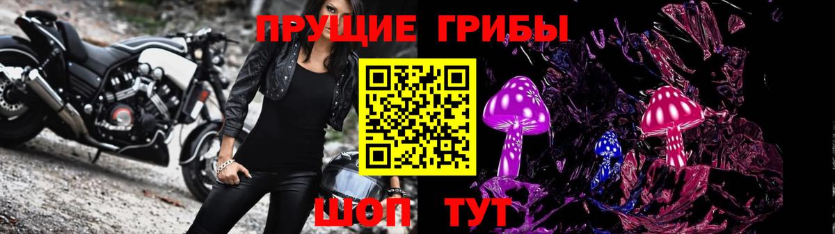Псилоцибиновые грибы Psilocybe Балабаново